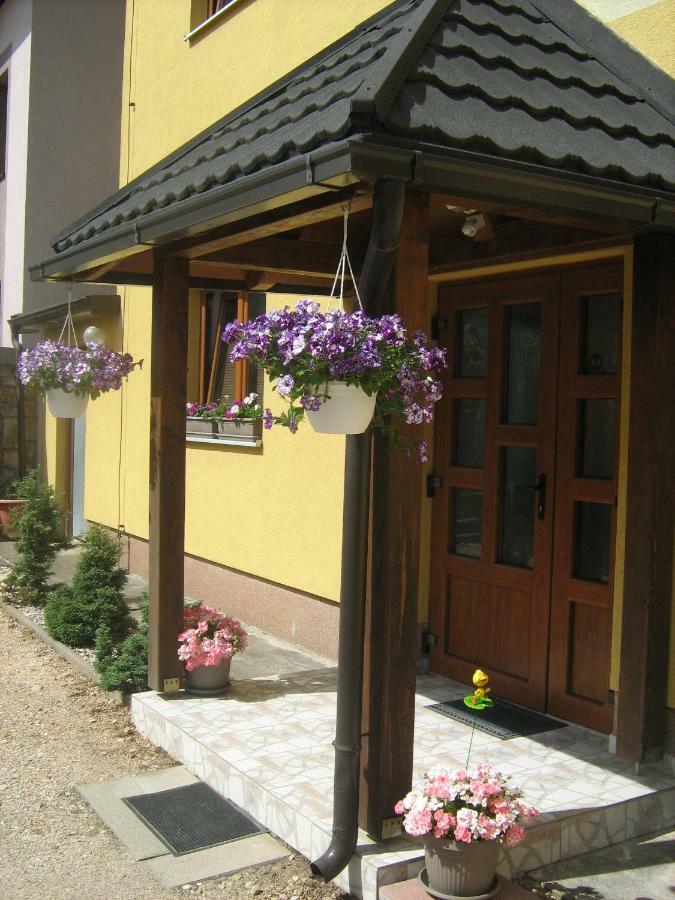 Guesthouse Mario Korenica Exterior photo